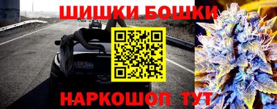СК Славгород