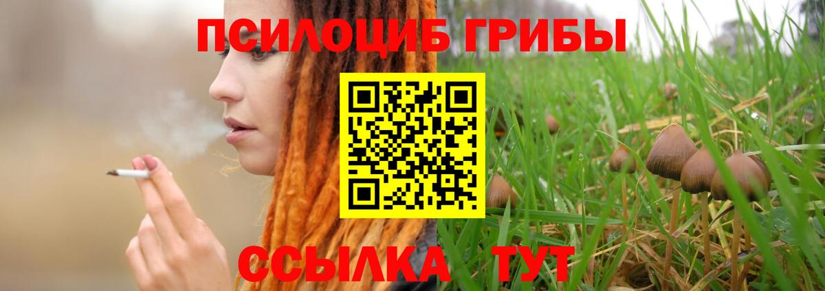 Псилоцибиновые грибы MAGIC MUSHROOMS Светлоград