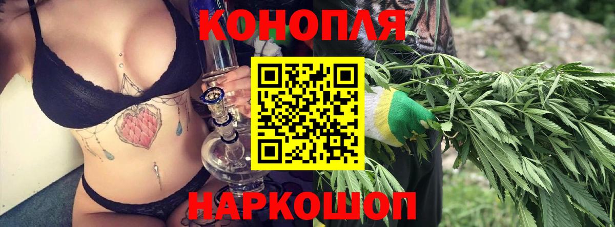 Марихуана OG Kush Светлоград